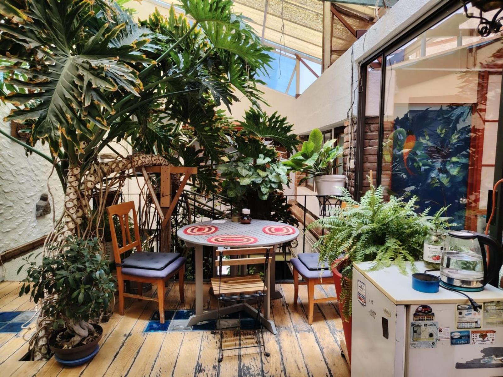 Hostel Mexico Df Airport Экстерьер фото